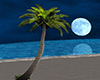 Midnight Romantic Beach