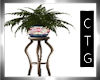 CTG FERN PLANT AND STAND