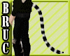 Animated Cat Tail