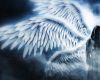Seraphim Wings F