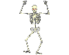 skeery skeleton