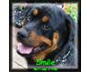 Rott Smile Some Cares St