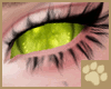 ~AM~ Dúlra Eyes v1