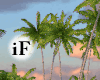 Tropical Islands PR