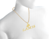 Lamis neck name 
