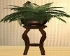 ASIAN FERN AND TABLE