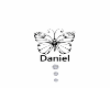 Fly Daniel BB