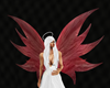 Pink Feather Angel Wings