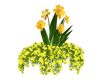 Garden Flowers Yellow