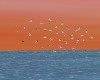 Animated Flying Seagulls