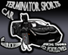 Terminator Sports Car