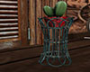 Farmhouse Rustic Cactus