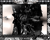 PORCELAIN / ໒꒱