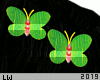 >Butterfly HairClips M