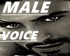 Krs*Male voice