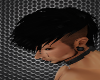 P* Avalon Black