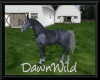 Animated Grey Horse