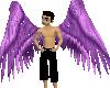Angel Wings Purple