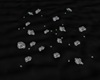 ~SL~ NLI Silver Roses