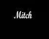 Mitch Necklace/F