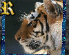 tigerz