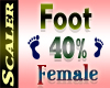Foot Resizer 40%