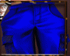 AXL Blue cargo pants