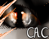 [C.A.C] OranBot Fe Eyes