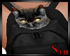 Kitty Backpack 3