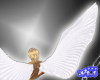 Animated Wings-Silver