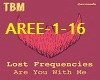 Lost-Frequencies
