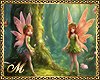 LITTLE FAIRIES BG F/M