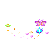 Butterfly animated