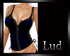 [Lud]New Top Blue
