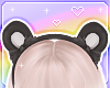 🌙 Sweet Bear Black II