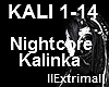 Nightcofe- Kalinka