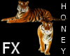 *h* Tiger FX