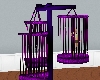 violet dance cages