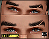 Ez| Eyebrows #06