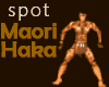 Haka Maori Warrior: SPOT