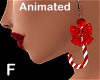 candy cane earrings ANI