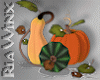 Pumpkins + Gourds Deco