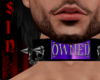 Purple Owned Collar