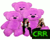 Purple Teddy Family