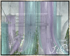 -I- Req. Canopy