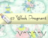 42 Weeks Pregnant (y)