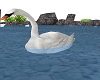 🦢Animated Swan