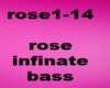 rose infinate bass