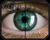 [LG] 2T Eyes Leviathan
