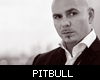 Pitbull Official Music
